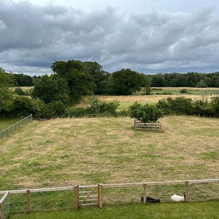 A Newly Renovated, Cosy Escape In The Beautiful Shepherd'S Cottage Dereham Exteriör bild