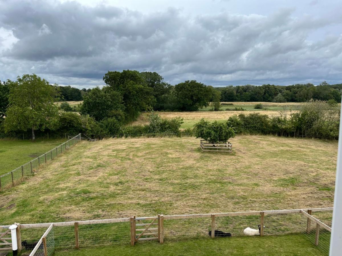 A Newly Renovated, Cosy Escape In The Beautiful Shepherd'S Cottage Dereham Exteriör bild